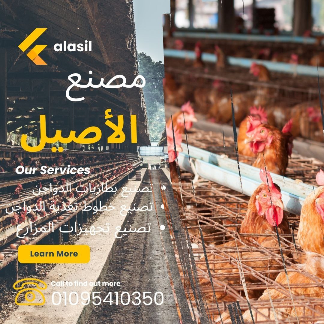  تصنيع بطاريات الدواجن 